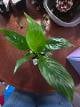 afe09378_9eda_4bdd_988b_ba5d4592b0dc_review-cb794b63.jpg
