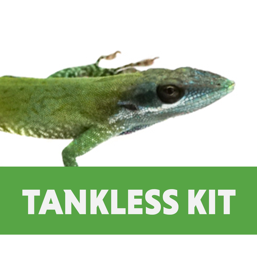 Anole Habitat Tankless Kit (10 Gallon)