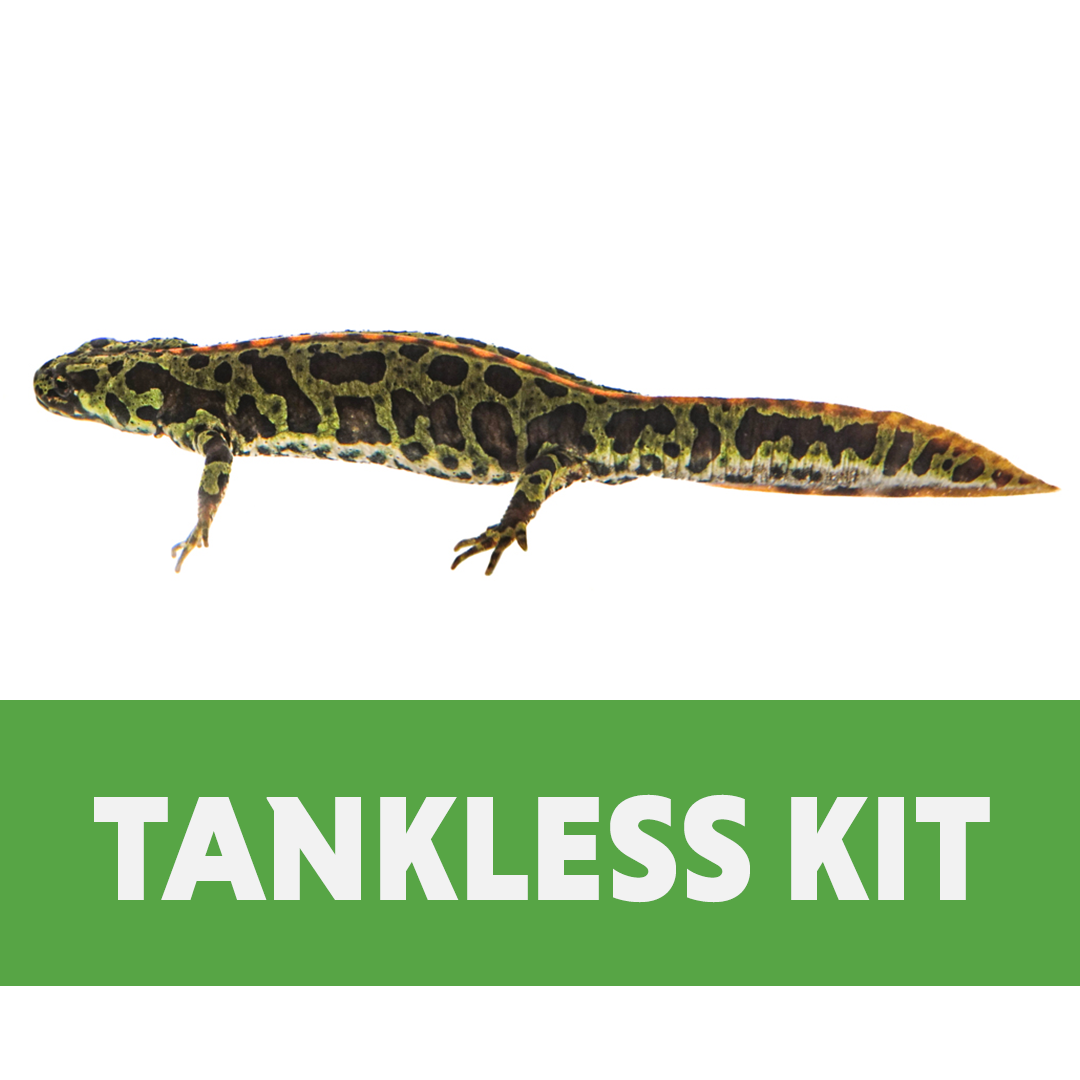Terrestrial Salamander & Newt Habitat Tankless Kit (10 Gallon)