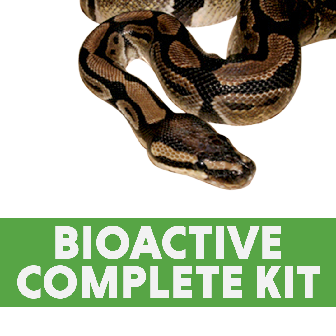 Josh's Frogs Ball Python Bioactive Complete Kit (24x18x18 Exo Terra)
