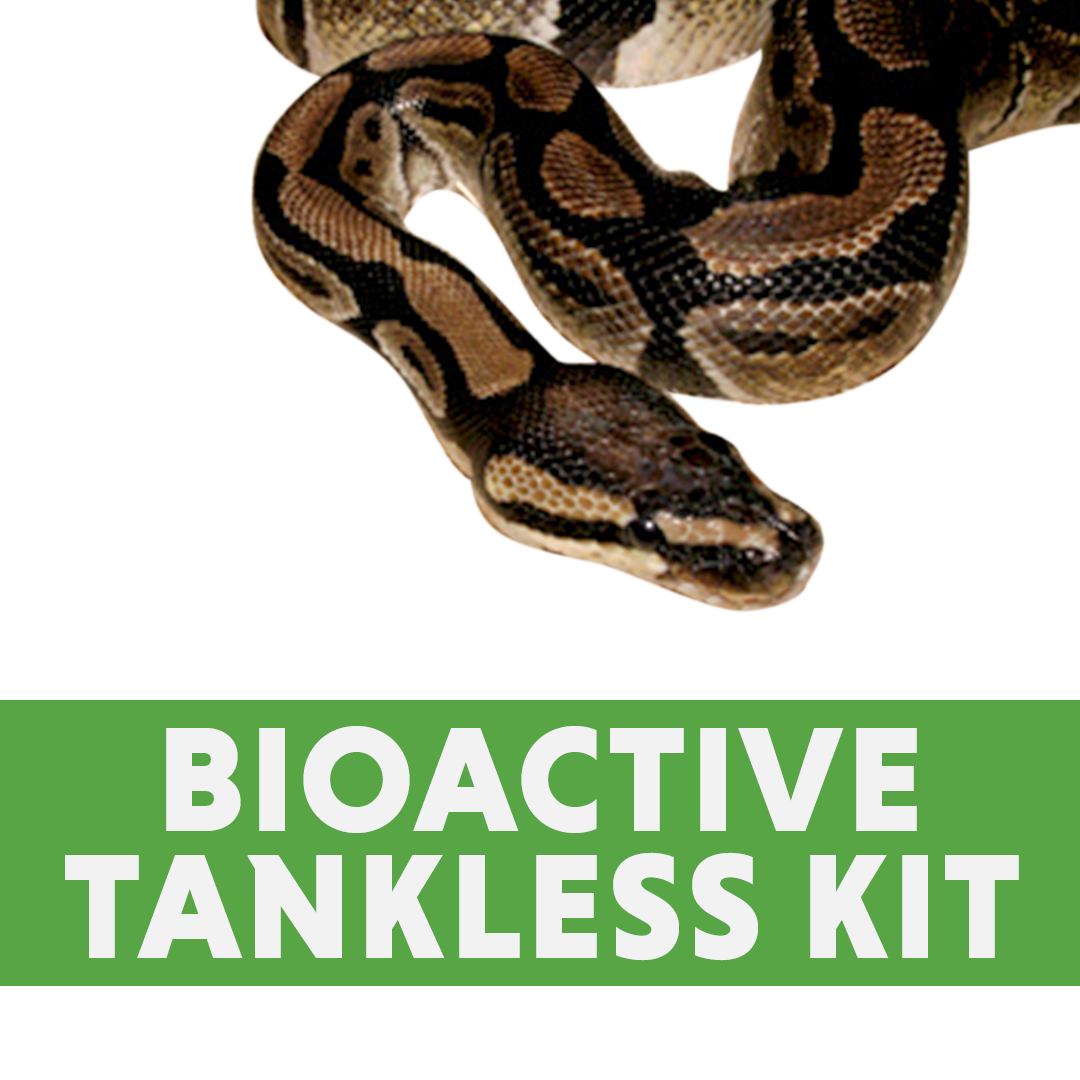 Josh's Frogs Ball Python Bioactive Tankless Kit (40B Aquarium)