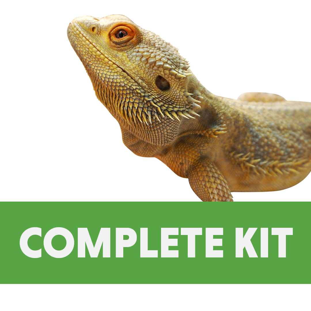 Bearded Dragon Complete Habitat Kit (24x18x18)