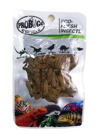 SINGLE PACK ProBugs Eco-Fresh Black Soldier Fly Larvae