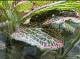 c2baee43_ffbe_4e60_b4f6_5d4f407f1d7f_review-dcaa865d.jpeg