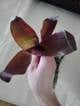 c8cc9cbf_bd8e_4442_a138_651bbed20ab0_review-adcb9575.jpg