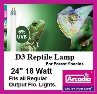Arcadia D3 6% UVB T8 Bulb (24 inch, 18 Watt)