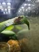 cb0993bc_527b_4940_aa16_cadf60cb9da7_review-e055fddb.jpg