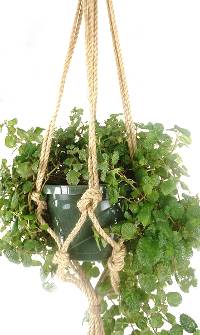 Primitive Planters 36" Natural Knotted Rope Plant Hanger