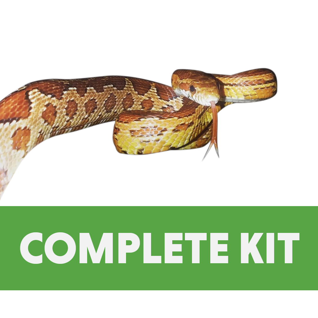 Corn Snake Complete Habitat Kit (24x18x12)