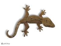 Crested Gecko - Correlophus ciliatus 'Dalmatian' (Keeper's Choice)
