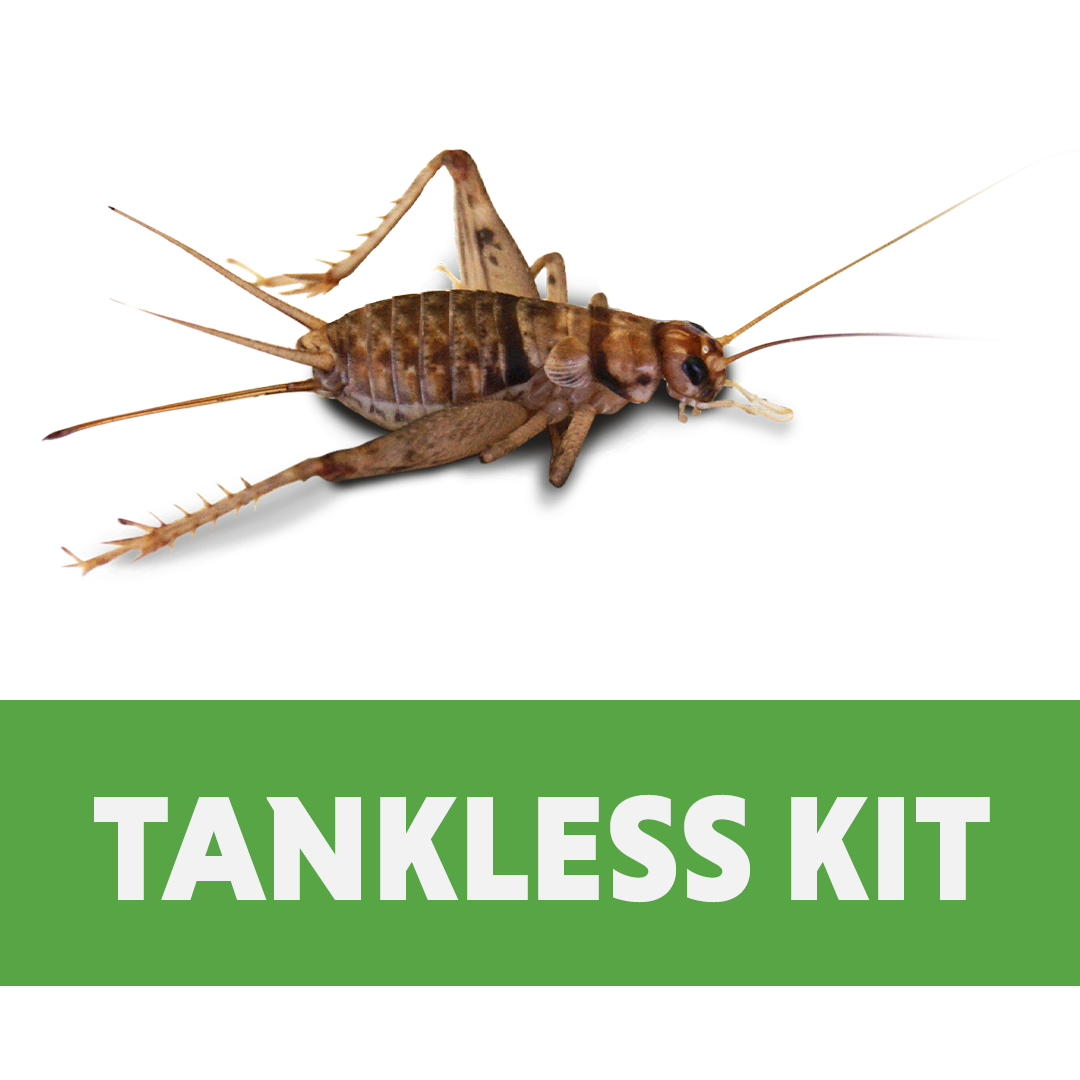 Cricket Care Tankless Kit