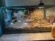 d4bf5154_bbdd_4720_a058_5de77c87d3ac_review-57647d98.jpeg