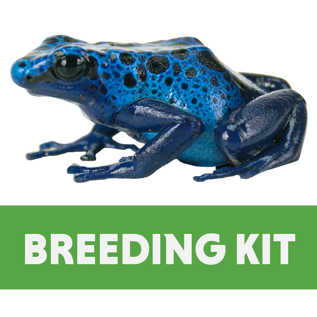 Josh's Frogs Dart Frog Breeding Kit