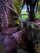 db1d9220_4bb1_4a99_babc_ed7c17eee2e5_review-282de15c.jpeg