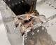 db8c871d_8256_429c_b4eb_a1abd23a60c7_review-4917d988.jpeg