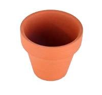 Deroma Terra Cotta 2.2" Standard Clay Pot