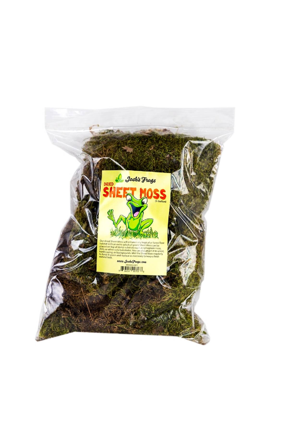Live Moss Scraps for Transplant or Use Between Patio Stones Feather Sheet 1  Gallon Bag