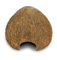 T-Rex Cocohut Dome Home - Coconut Shell Hide