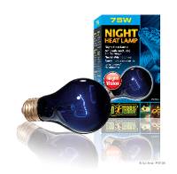Exo Terra Night Heat Lamp (75 watt)