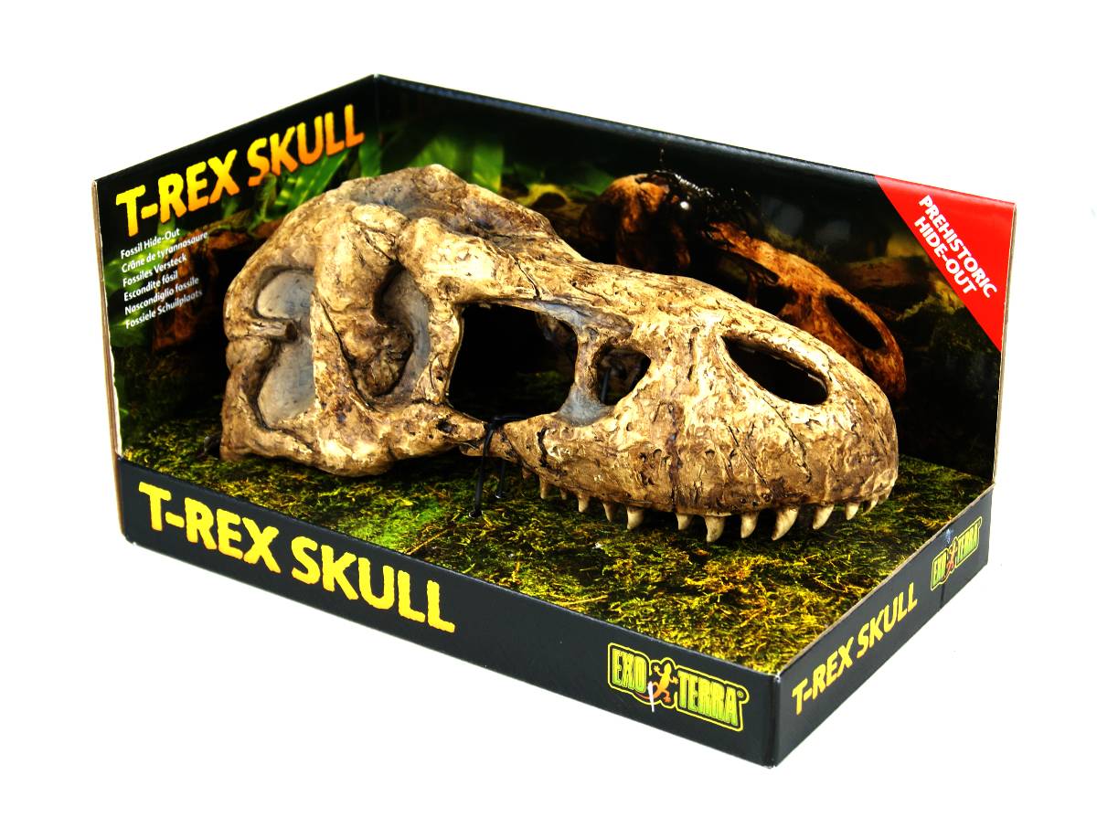 Exo Terra T Rex Skull