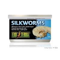 Exo Terra Silkworms (1.2oz)