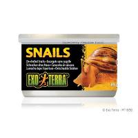 Exo Terra Unshelled Snails (1.7oz)