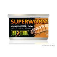 Exo Terra Superworms (1.1 oz.)
