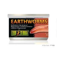 Exo Terra Earthworms (1.2oz)