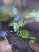 f230e2f0_1a7a_4edd_8257_01030629a583_review-b9edf9da.jpg