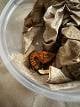 f2d2541f_9e8e_4319_94d2_db128f063aee_review-27a86c03.jpeg