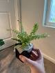 f5302be5_3e50_4774_9449_e757e51e4a45_review-28e7d361.jpeg