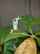f659d4fe_1e12_4bb4_9e5c_bb905d242c51_review-6cfe71a9.jpg