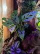 f778e185_6a92_4106_8a97_8c332ae950c0_review-9cf5e2ba.jpeg