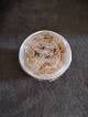 ff3abe10_312d_42da_974d_48f73daa5894_review-4aaa206c.jpg