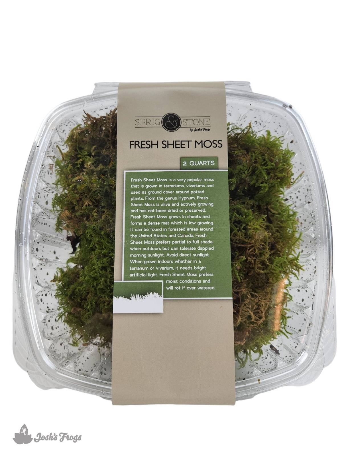 sheet moss great for terrariums houseplants fairy gardens a full  Sandwhichbag from the of Pennsylvania