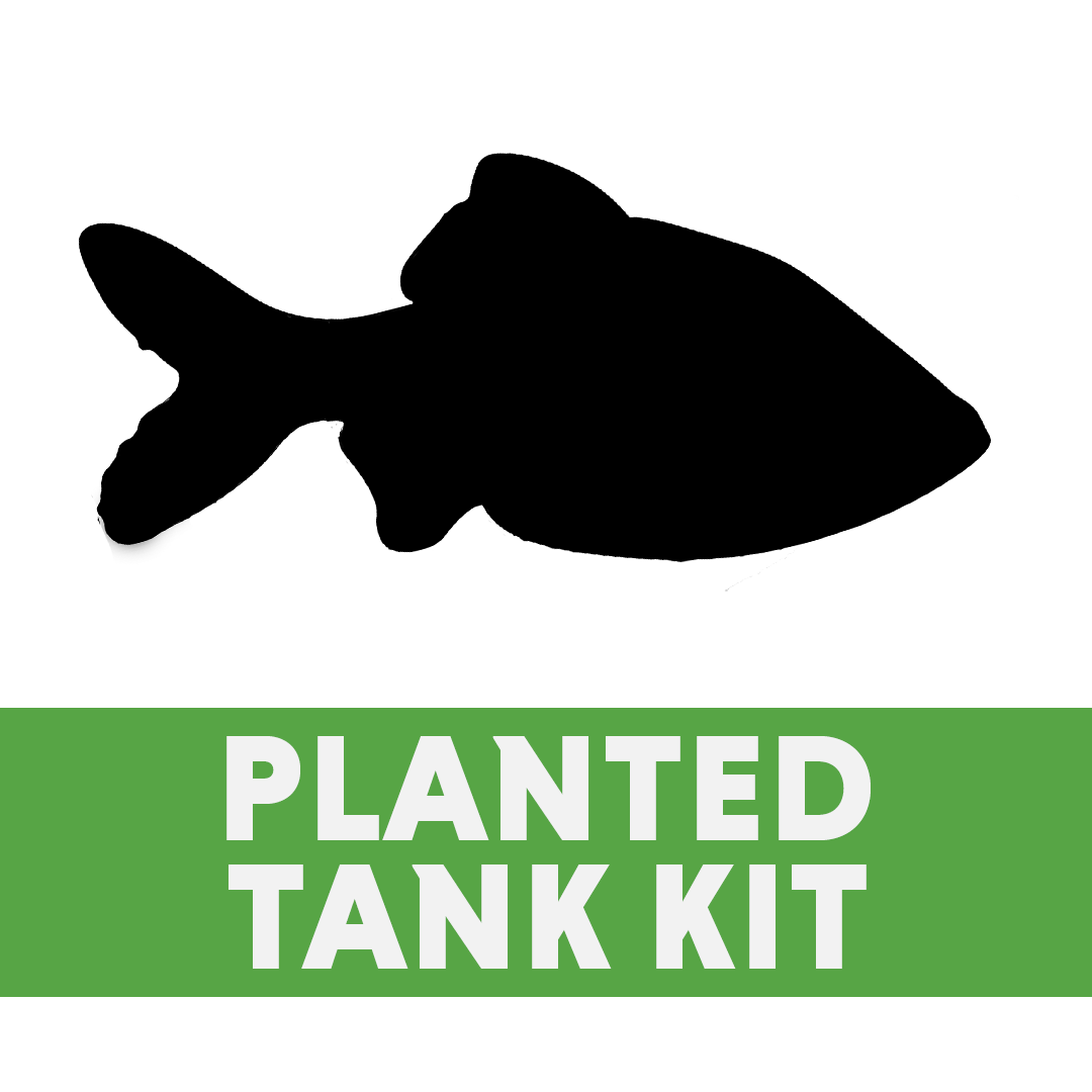 Fluval Spec 5 Tropical Planted Tank BUNDLE (5 gallon - black)