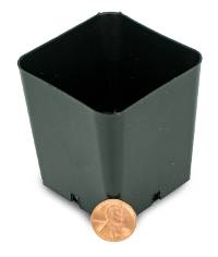 Heavy-Duty Nursery Pots - Square 2.25 inch