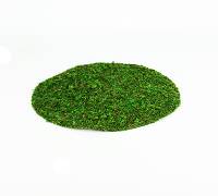 Galapagos InstantGreen Moss Soil Topper 10 inch (3 pack)