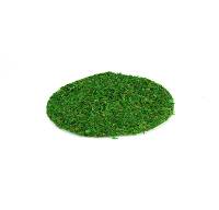 Galapagos InstantGreen Moss Soil Topper 8 inch (3 pack)