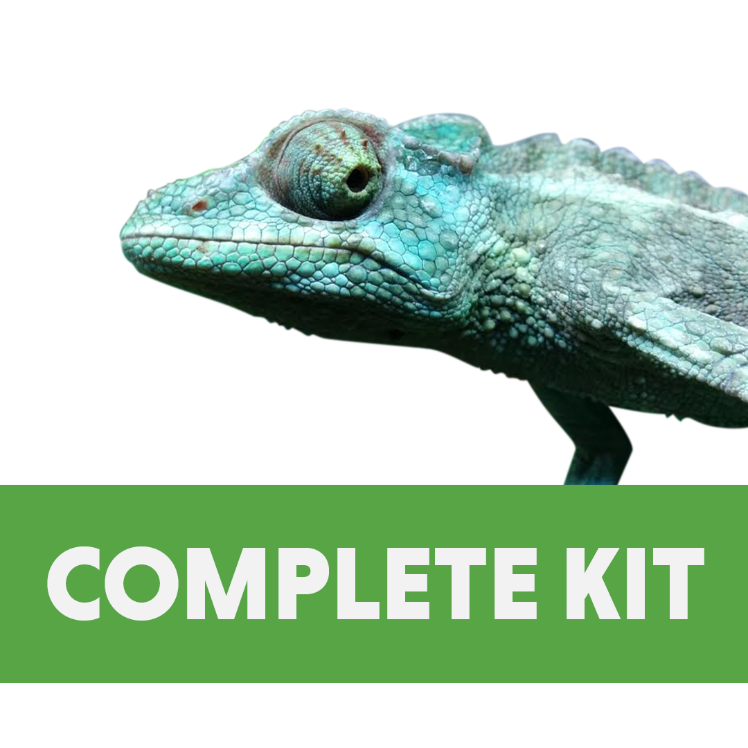 Chameleon Habitat Complete Kit (18x18x36")