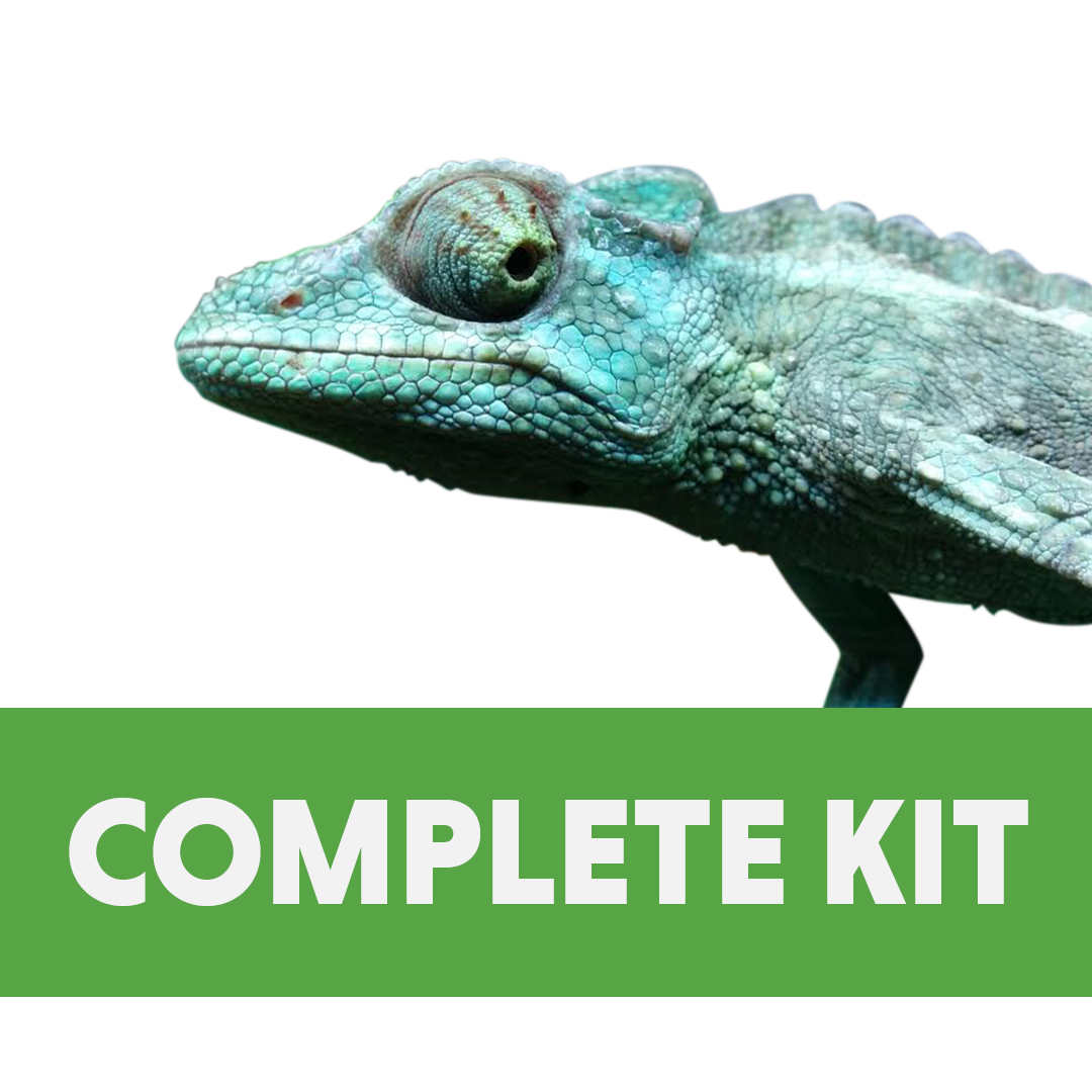 Jackson's Chameleon Complete Habitat Kit