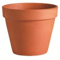 Deroma Terra Cotta 4.3" Standard Clay Pot