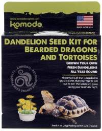 Komodo Grow-Your-Own Dandelion Kit