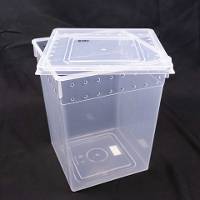 Ventilated Arboreal Invertebrate Habitat | Large (5.5 x 5.5 x 7 inch)