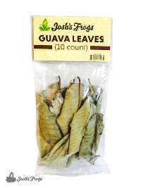 Josh's Frogs Guava Leaf Litter (10 leaves)