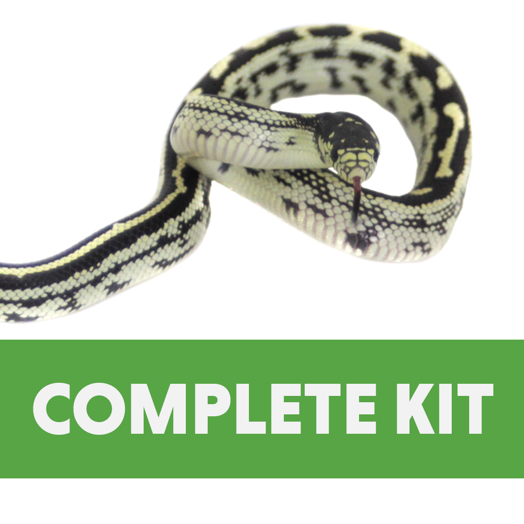 King Snake & Milk Snake Complete Habitat Kit (24x18x12)