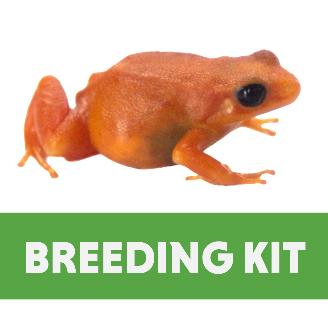 Complete Mantella Breeding Kit (18x18x18)