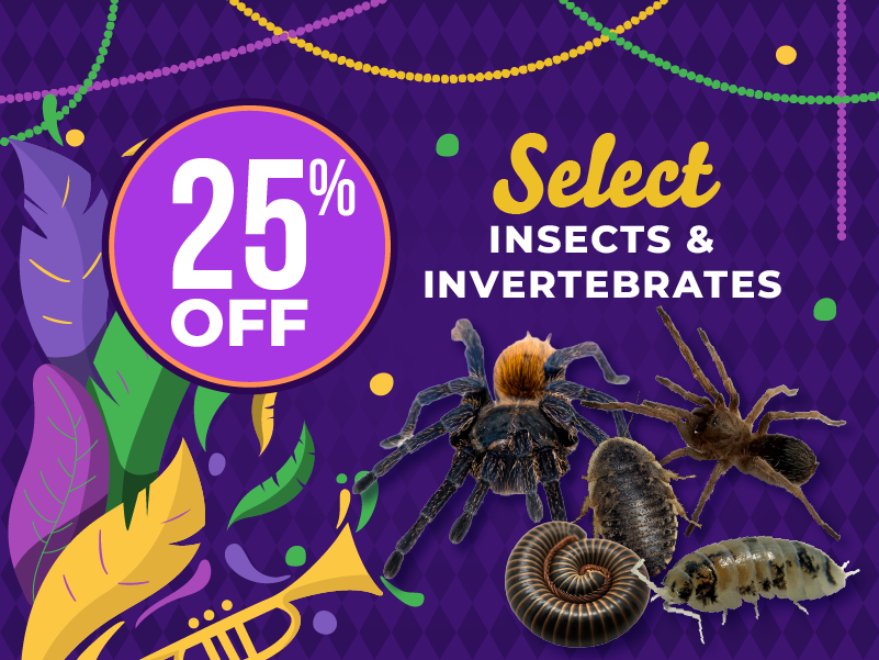 25% Off Select Insects and Invertebrates