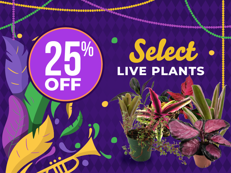 25% Off Select Live Plants