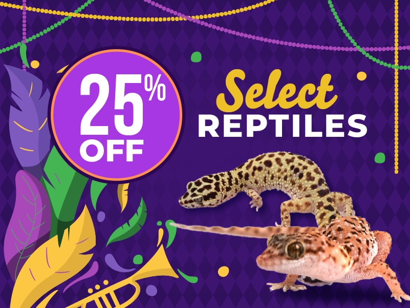 25% Off Select Reptiles